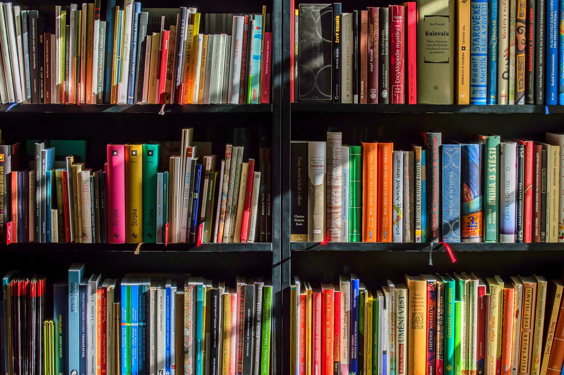 Unser Schulsieger im Lesen