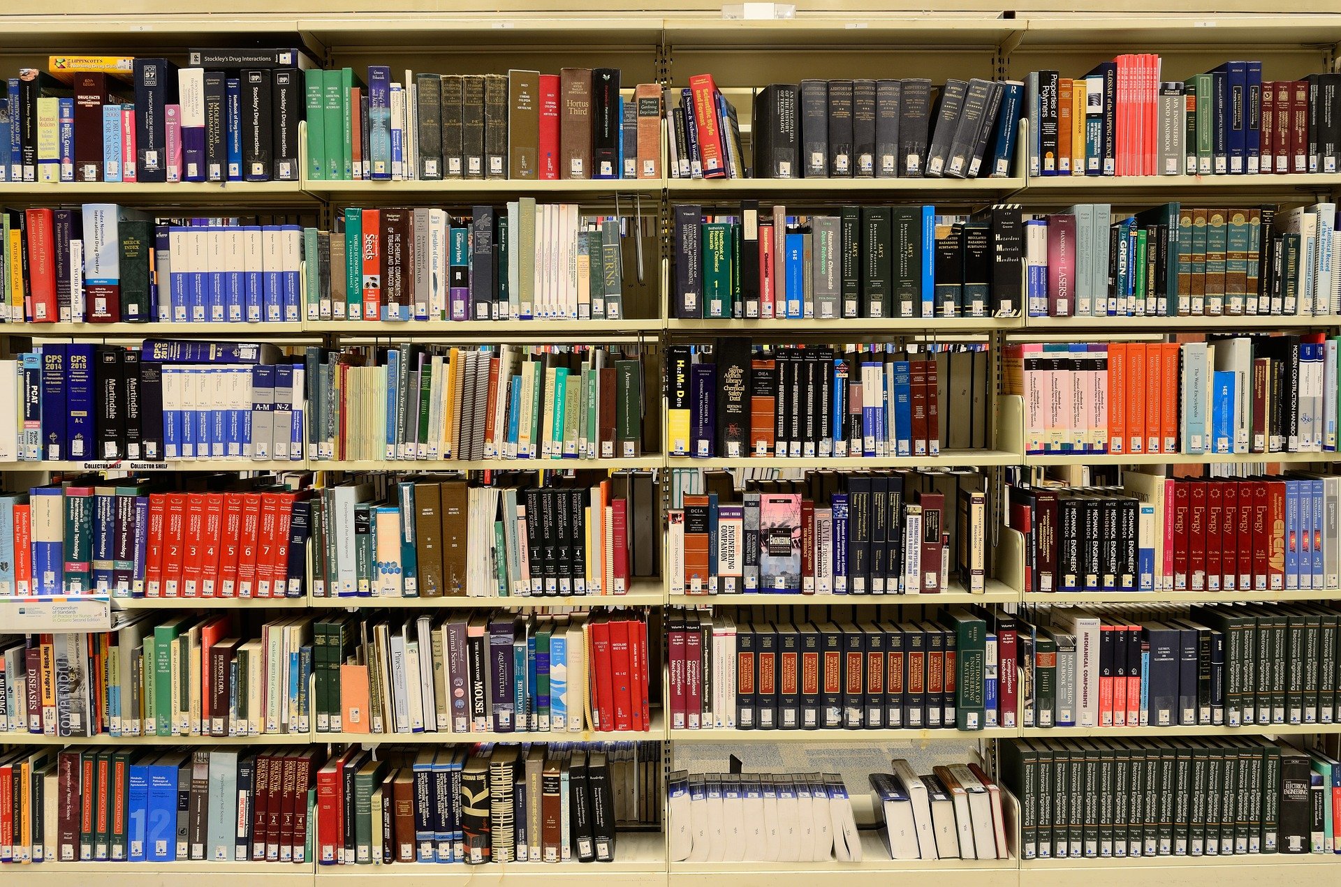 Schulsieger beim Kreisentscheid des Vorlesewettbewerbs eine Runde weiter
