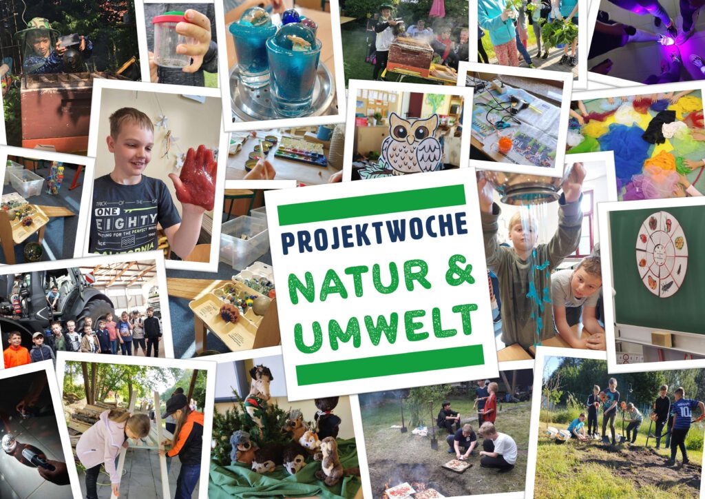 Projekt Natur Und Umwelt Im Kindergarten Projektwoche – Natur und Umwelt 2022 – Mosaik-Grundschule Peitz